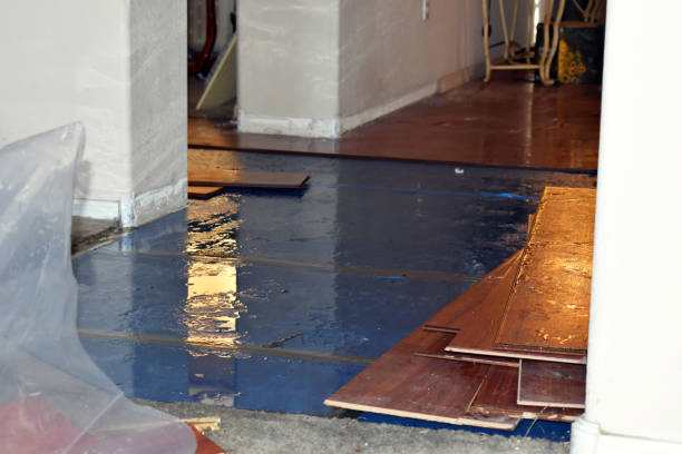 Professional Water Damage Restoration technician working in Fairview, UT